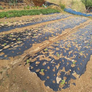 이장우님의 자유주제 · 자유게시판 작성글 사진