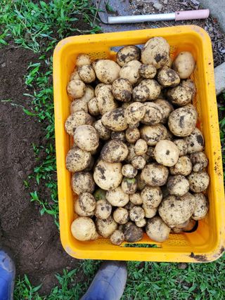 김윤철님의 자유주제 · 자유게시판 작성글 사진