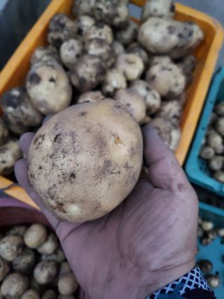 김윤철님의 자유주제 · 자유게시판 작성글 사진