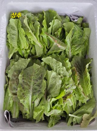 민환기님의 자유주제 · 자유게시판 작성글 사진