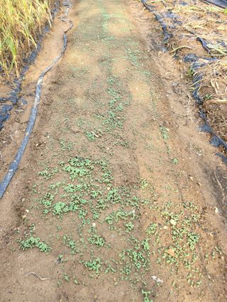 논산상월안정환님의 자유주제 · 자유게시판 작성글 사진