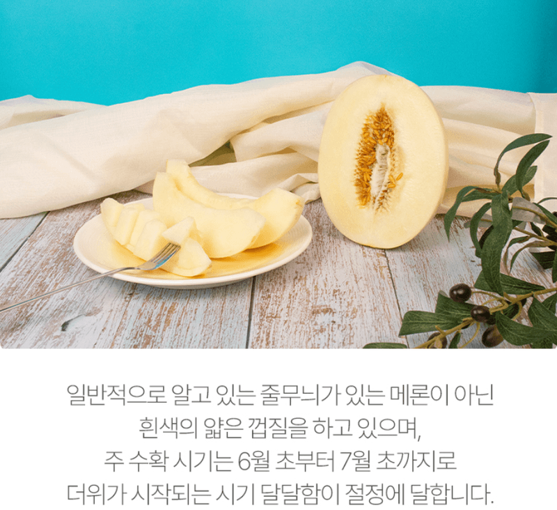 스피드번님의 장터 판매 상품 [수신메론] 첨부 사진