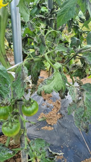 함영규님의 자유주제 · 자유게시판 작성글 사진