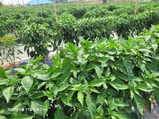 이동훈님의 자유주제 · 자유게시판 작성글 사진