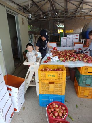 배경수 님의 자유주제 · 자유게시판 작성글 사진