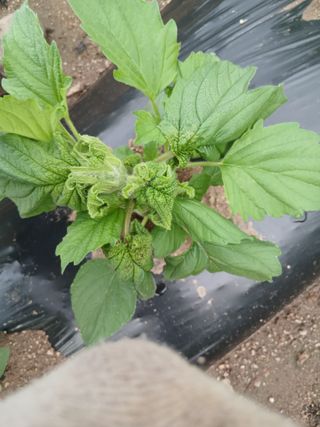 진일환님의 자유주제 · 사진전 작성글 사진