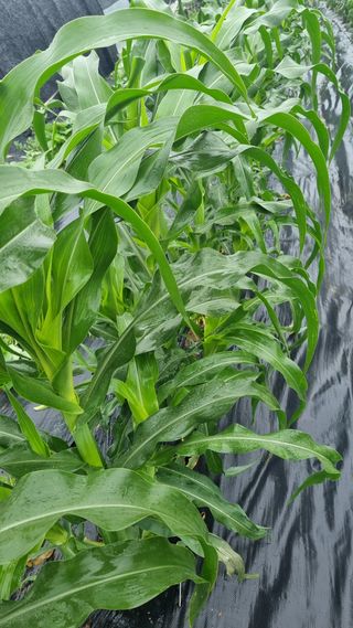 포로롱~^^님의 자유주제 · 자유게시판 작성글 사진