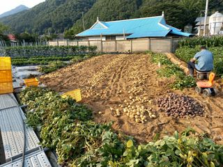 김영문님의 자유주제 · 자유게시판 작성글 사진