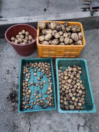 김윤철님의 자유주제 · 자유게시판 작성글 사진