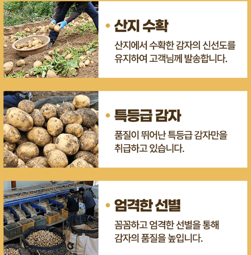 스피드번님의 장터 판매 상품 [햇감자] 첨부 사진