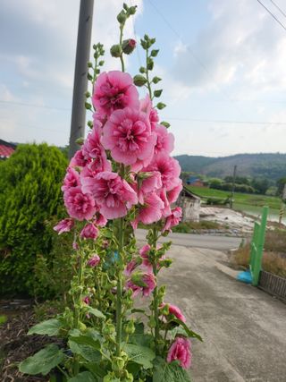 논산상월안정환님의 자유주제 · 자유게시판 작성글 사진