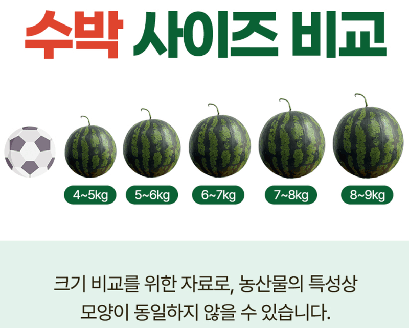 스피드번님의 장터 판매 상품 [고당도 꿀수박] 첨부 사진