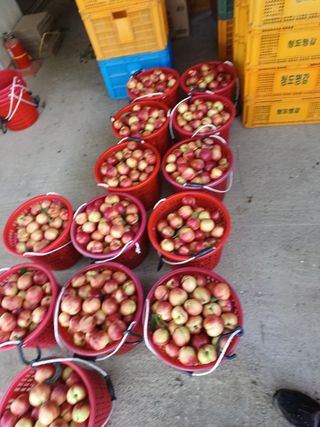 배경수 님의 자유주제 · 자유게시판 작성글 사진