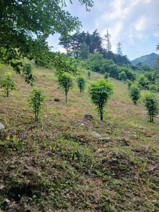 인생은 소풍처럼님의 자유주제 · 자유게시판 작성글 사진
