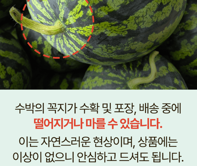스피드번님의 장터 판매 상품 [고당도 꿀수박] 첨부 사진
