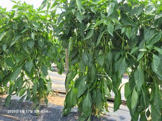 이동훈님의 자유주제 · 자유게시판 작성글 사진