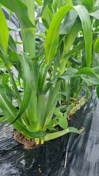 포로롱~^^님의 자유주제 · 자유게시판 작성글 사진