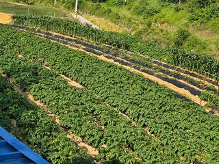 늘항상한결님의 자유주제 · 자유게시판 작성글 사진