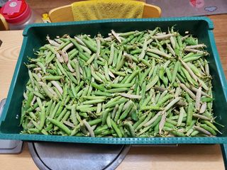 김윤철님의 자유주제 · 자유게시판 작성글 사진