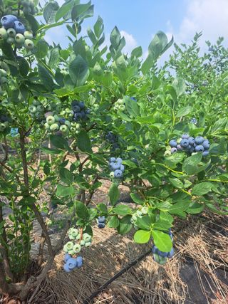 이재국님의 자유주제 · 자유게시판 작성글 사진