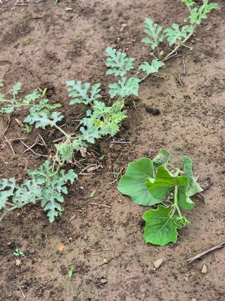 김상진님의 자유주제 · 자유게시판 작성글 사진