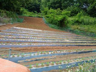 강재화님의 자유주제 · 자유게시판 작성글 사진
