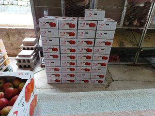 배경수 님의 자유주제 · 자유게시판 작성글 사진