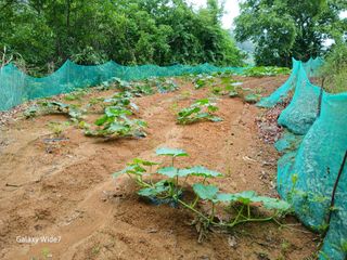 강재화님의 자유주제 · 자유게시판 작성글 사진