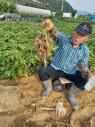 김영문님의 자유주제 · 자유게시판 작성글 사진
