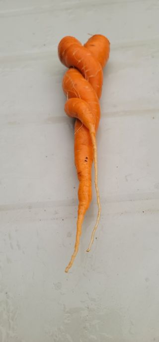 철구옵빠님의 자유주제 · 자유게시판 작성글 사진