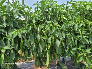 이동훈님의 자유주제 · 자유게시판 작성글 사진