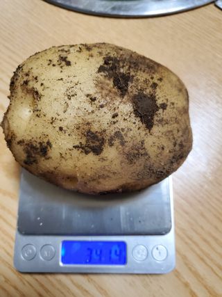 김윤철님의 자유주제 · 자유게시판 작성글 사진