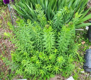 고추건조기부품판매님의 자유주제 · 자유게시판 작성글 사진