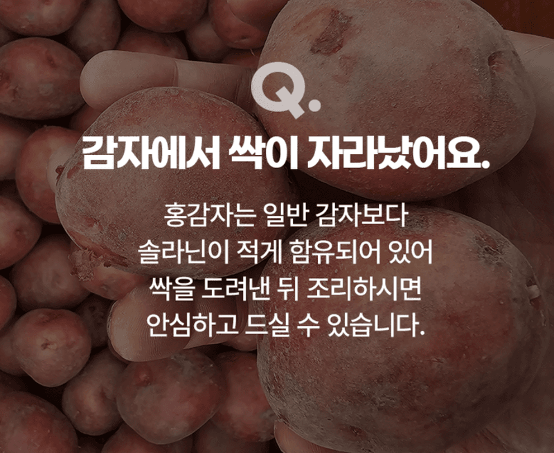 스피드번님의 장터 판매 상품 [햇 홍감자] 첨부 사진