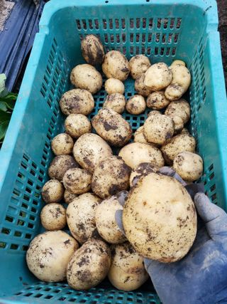 김윤철님의 자유주제 · 자유게시판 작성글 사진