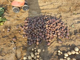 김영문님의 자유주제 · 자유게시판 작성글 사진