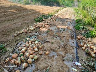 강재화님의 자유주제 · 자유게시판 작성글 사진