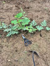 팜모닝 자유주제·자유게시판 게시글 이미지