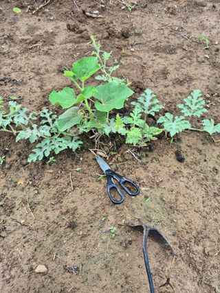 김상진님의 자유주제 · 자유게시판 작성글 사진
