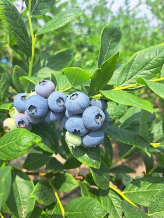 이재국님의 자유주제 · 자유게시판 작성글 사진