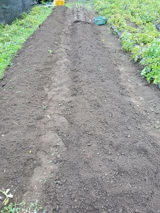 김윤철님의 자유주제 · 자유게시판 작성글 사진