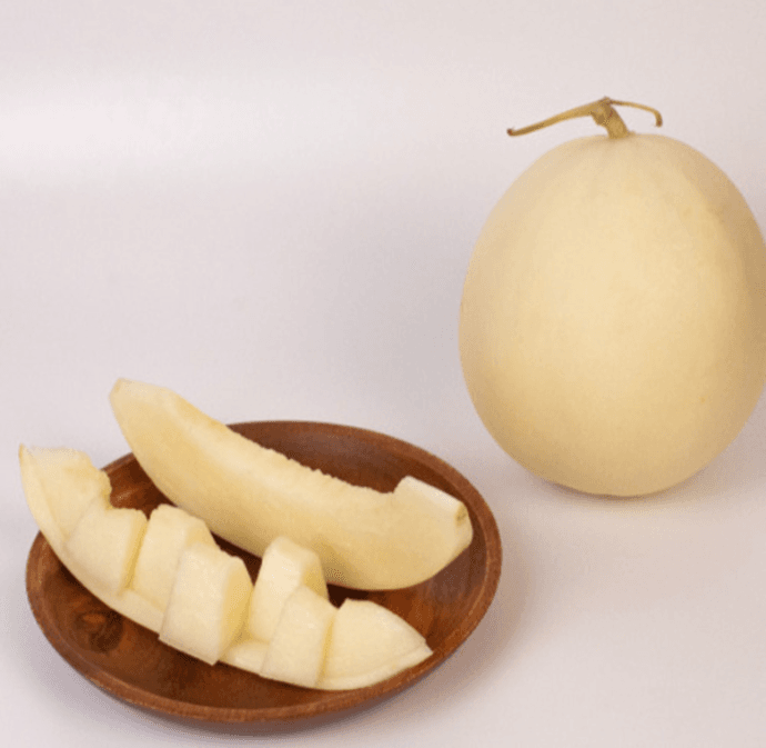 장터 상품 [수신메론] 썸네일