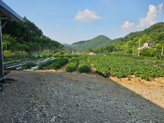늘항상한결님의 자유주제 · 자유게시판 작성글 사진