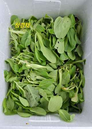 민환기님의 자유주제 · 자유게시판 작성글 사진