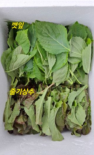 민환기님의 자유주제 · 자유게시판 작성글 사진