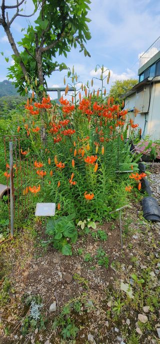 고추건조기부품판매님의 자유주제 · 자유게시판 작성글 사진