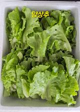 팜모닝 자유주제·자유게시판 게시글 이미지