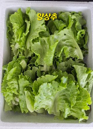 민환기님의 자유주제 · 자유게시판 작성글 사진