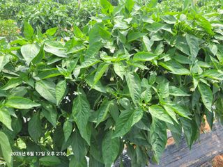 이동훈님의 자유주제 · 자유게시판 작성글 사진