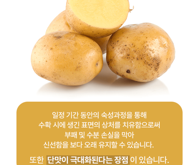 스피드번님의 장터 판매 상품 [햇감자] 첨부 사진